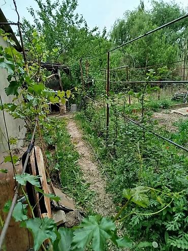 Продажа квартир: 4 комнаты, 72 м² — 22