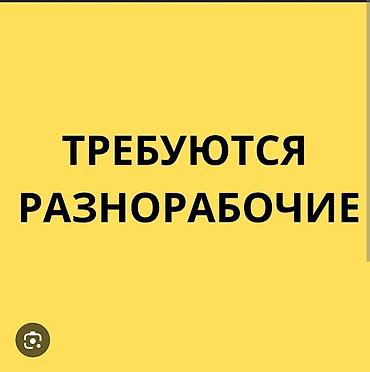 Требуется Разнорабочий, Оплата: Дважды в месяц