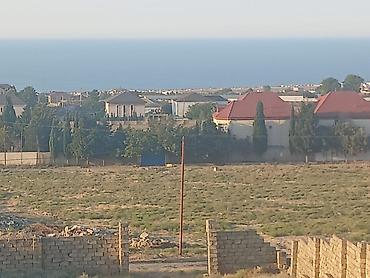 qubada satilan torpaq: 14 sot, Tikinti, Mülkiyyətçi, Kupça (Çıxarış), Texniki pasport — 7