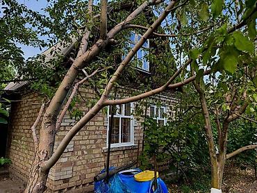 Продажа домов: Дача, 40 м², 3 комнаты — 7