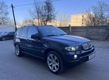 r20 бмв: BMW X5: 2005 г., 4.4 л, Типтроник, Бензин, Внедорожник