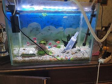 dovriyye nasosu: Dördbucaq akvarium, 115 l, Pulsuz çatdırılma — 6
