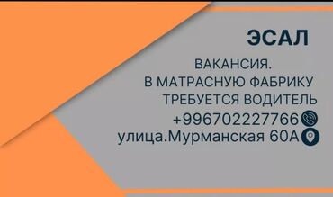 Водители-экспедиторы: Требуется Водитель-экспедитор, Менее года опыта, Мужчина