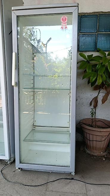 vitrin panel: Şüşə qapılı vitrin soyuducu - Tək qapılı, şaquli vitrin tipli — 1