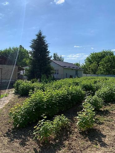 Продажа коттеджей и домов: Продаю большой дом из 7ми комнат в городе Каинда. Сан узел в доме — 16