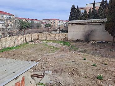 Torpaq sahələrinin satışı: 25 sot, Kupça (Çıxarış) — 22