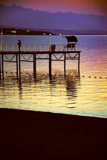 Фотоаппараты: Nikon D3300 + два объектива, 18-55 и 18-105 мм. Домашнее — 7