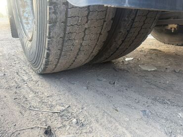 Тягачи: Тягач, Renault, 2008 г., Без прицепа at lalafo.kg — 12 Тягачи: Тягач, Renault, 2008 г., Без прицепа — 12