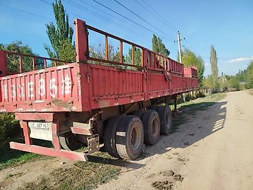 Прицепы и полуприцепы: Прицеп, Самосвал, от 12 т, Б/у — 11
