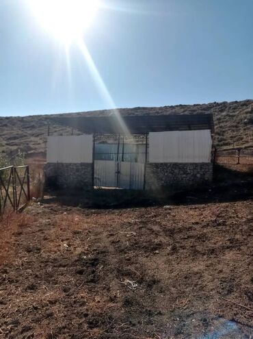 Продажа участков: 1800 соток, Для бизнеса, Красная книга at lalafo.kg — 13 Продажа участков: 1800 соток, Для бизнеса, Красная книга — 13