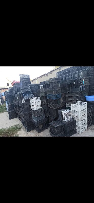 прием макулатуры бишкек цена: Картон. Алабыз Салафан