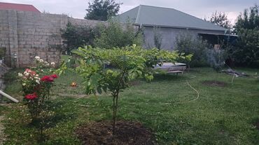 Həyət evləri və villaların satışı: 3 otaqlı, 95 kv. m, Kredit yoxdur, Yeni təmirli -da lalafo.az — 9 Həyət evləri və villaların satışı: 3 otaqlı, 95 kv. m, Kredit yoxdur, Yeni təmirli — 9