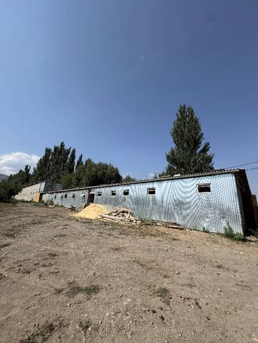 Сельхоз предприятия: Продаю Ферма КРС, 330 соток, Действующий, С оборудованием, Холодная вода, Электричество — 10