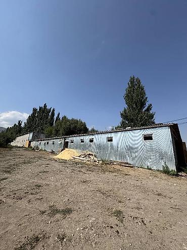 Продажа участков: 330 соток, Для сельского хозяйства, Договор дарения — 6