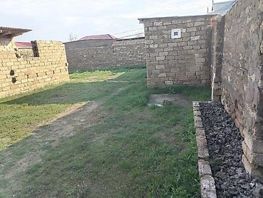 qala xasaxuna: 4 sot, Tikinti, Mülkiyyətçi, Bələdiyyə — 3