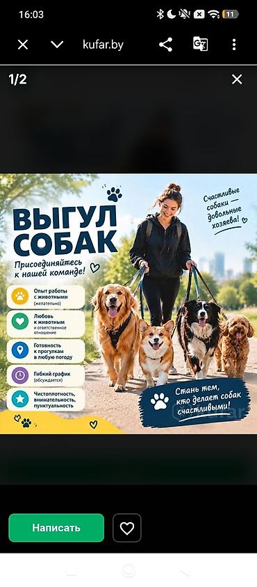 Другие специальности: Услуга: выгул небольших собак .в час 400 сом . адрес аламедин 1 город — 1