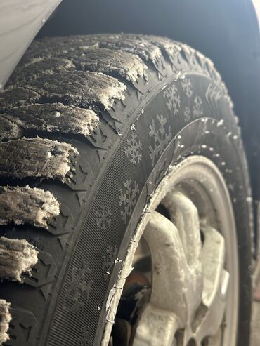 Toyota: Toyota Prius: 2011 г., 1.8 л, Автомат, Бензин, Хэтчбэк — 14