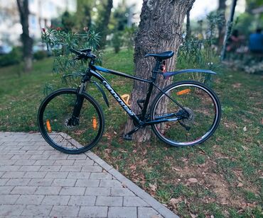 Şəhər velosipedləri: İşlənmiş Şəhər velosipedi Cannondale, 29", sürətlərin sayı: 12, Ünvandan götürmə -da lalafo.az — 2 Şəhər velosipedləri: İşlənmiş Şəhər velosipedi Cannondale, 29", sürətlərin sayı: 12, Ünvandan götürmə — 2