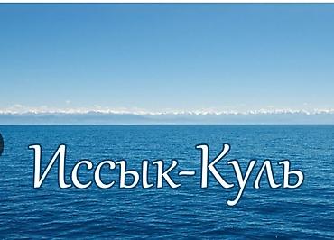 4 соток