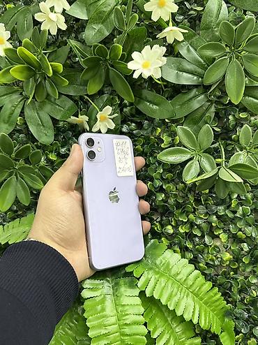 IPhone 11, 64 GB, Çəhrayı, Face ID lalafo.az -da IPhone 11, 64 GB, Çəhrayı, Face ID