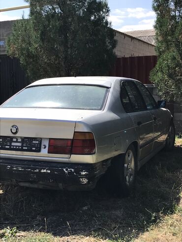 паук цепной: BMW 525: 1992 г., 2.5 л, Механика, Бензин