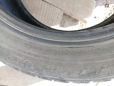 stud 100: Зимняя шина Dunlop 215/55 R17 94Q (шипуемая) - Производитель: Dunlop — 3