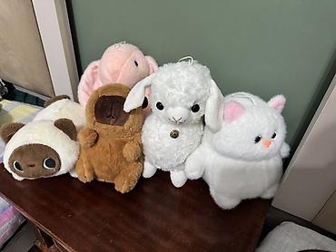 my home: Набор мягких игрушек (5 шт.): - Котик-бочонок с большими глазами — 2