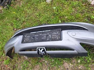 drzac za tasne: BRANIK ZA PEUGEOT 307 OD 2001. DO 2006. GOD — 1