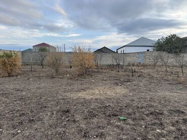 Torpaq sahələrinin satışı: 7 sot, Tikinti, Mülkiyyətçi, Bələdiyyə, Kupça (Çıxarış) -da lalafo.az — 11 Torpaq sahələrinin satışı: 7 sot, Tikinti, Mülkiyyətçi, Bələdiyyə, Kupça (Çıxarış) — 11