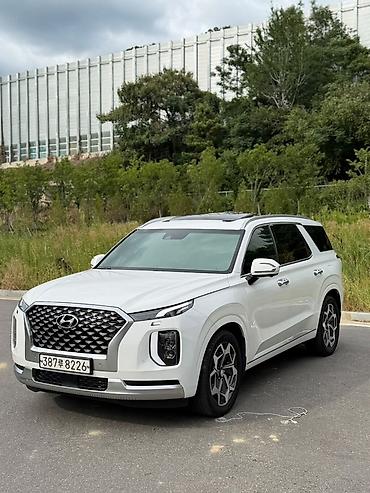 Hyundai Palisade: 2020 г., Кроссовер