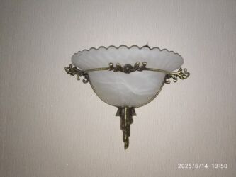 Bitkilər: 2-ci əl bra satılır. Sınığı cəuya cızığı yoxdur