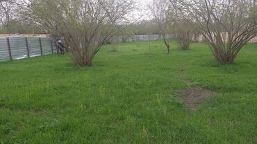 Torpaq sahələrinin satışı: Torpaq satılır Qəbələdə, Daşca kəndində! 🏞️ Təbii gözəlliklərlə -da lalafo.az — 7 Torpaq sahələrinin satışı: Torpaq satılır Qəbələdə, Daşca kəndində! 🏞️ Təbii gözəlliklərlə — 7