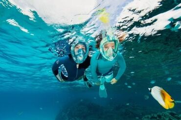 Другие книги и журналы: Ласты Subea для подводного плавания/снорклинга компактные 38-39 размер — 2