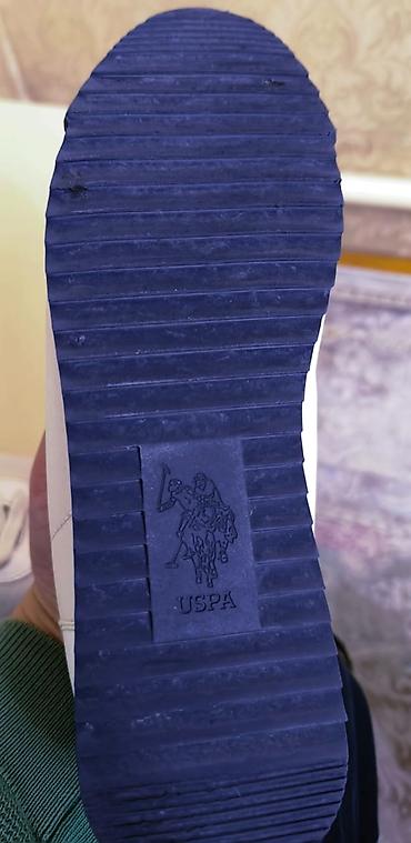 кеды поло: Продаю кроссовки USPA (U.S. Polo Assn.) Deep Summer Б/у. - Цвет — 5