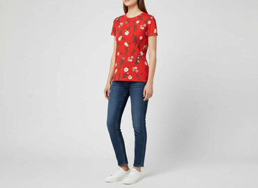 florence the machine t shirty: Dorothy Perkins, T-shirt damski, rozmiar L