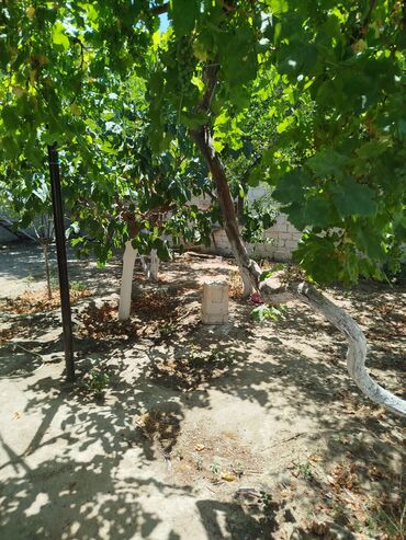 ehmedlide ev: 2 otaqlı, 75 kv. m, Kredit yoxdur, Orta təmir