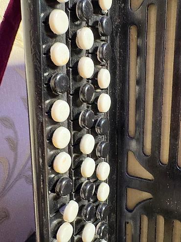 uşaq bayan: Akustik Akkordeon, İşlənmiş, Pulsuz çatdırılma — 7