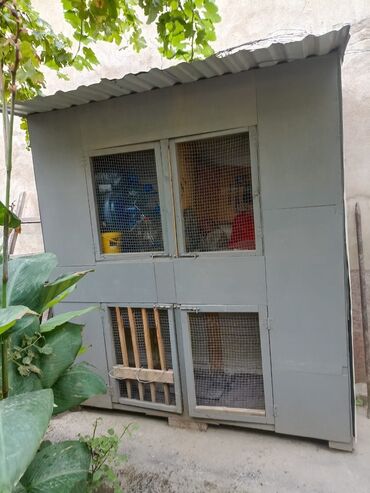 енот в баку купить: Heyratı Xoruz və Göyərçin saxlamaq üçün ideal qəfəsdi üstü şifer çölü