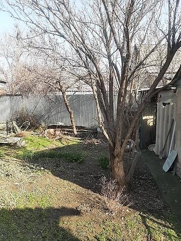 Продажа коттеджей и домов: Представляем дом с дворовой территорией, предлагающий комфортное — 3