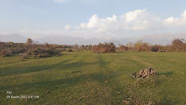 ev xaçmaz: 25 sot, Kənd təsərrüfatı, Mülkiyyətçi, Kupça (Çıxarış) — 3