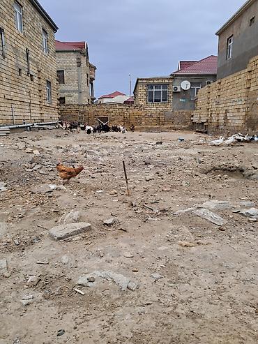 baxca: 2 sot, Tikinti, Kupça (Çıxarış) — 2