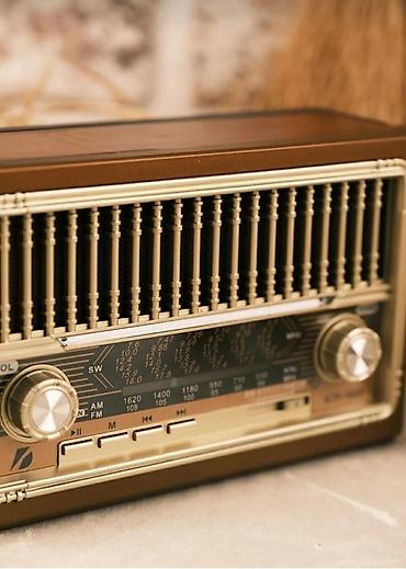 Səs gücləndiriciləri: Nostalji görünüşlü kalonka Fm radio Bluetooth USB flashkart SD kart — 5