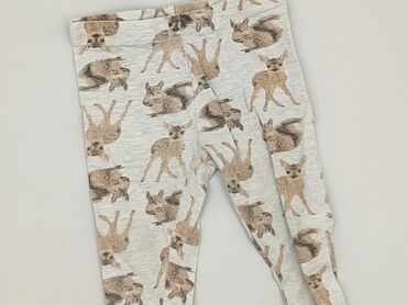 orsay spodnie woskowane: Leggings, Pepco, 12-18 months, condition - Very good