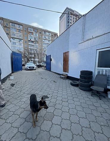 Продажа другой коммерческой недвижимости: 🔥 Бомба! Только для быстрых! 🔥 💥 7,4 сотки по ОПТОВОЙ цене + Готовый — 6