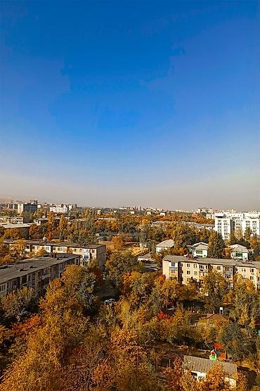 Долгосрочная аренда квартир: 2 комнаты, Собственник, С мебелью полностью — 12