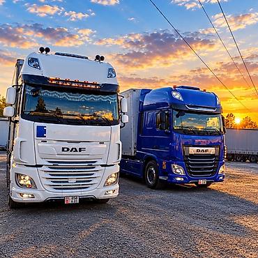 водител миксер: Тягач, DAF, 2019 г., Тентованный — 1