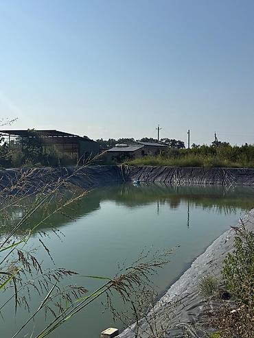 Bağ evlərinin satışı: Xaçmaz, 4 kv. m, 1 otaqlı — 8