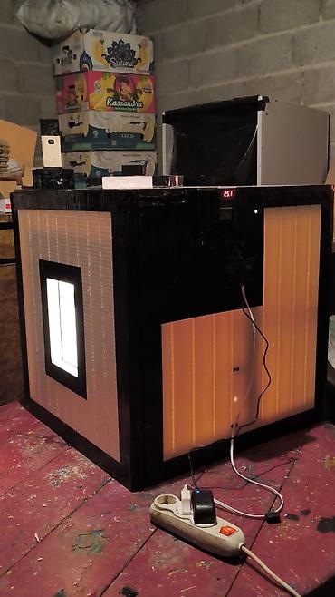 Куры, петухи: Продаю | Инкубационные яйца — 5