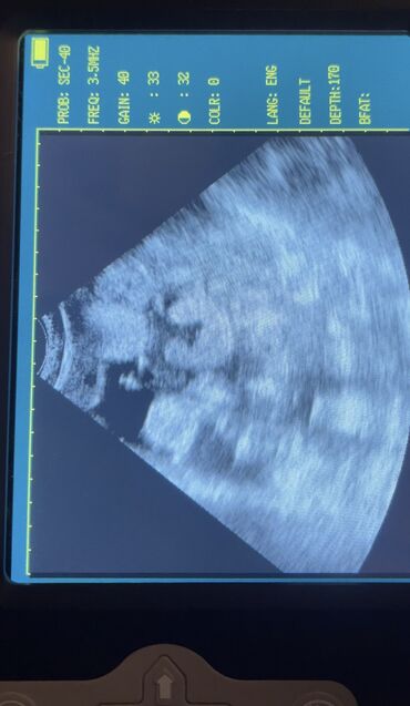 Услуги ветеринара: Ветеринардык врач …! Ветеринарный врач …! Узи🐄🐎🐑🐐🐕🐈 Бодо малга — 2