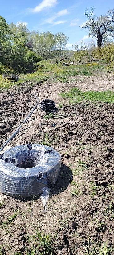 Ağaclar: Məhsul: Meyvə bağı (intensiv tipli) Təsvir: - Çoxillik meyvə ağacları — 11